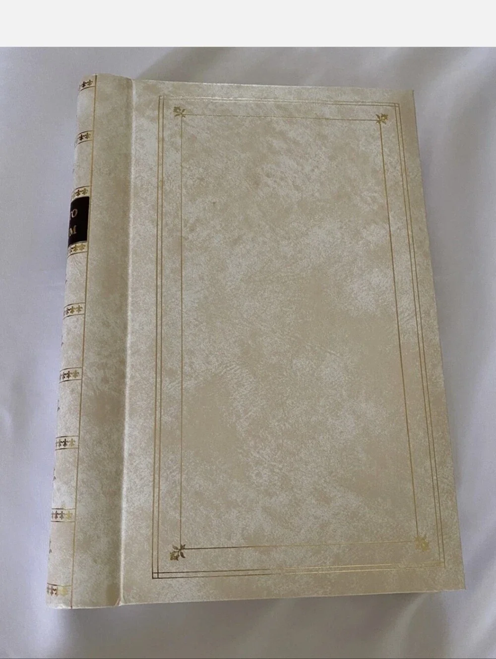 Vintage Pioneer Deluxe Cover 100 Photo Album Large Fast-stick 50 Sheets